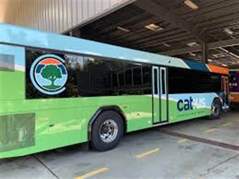 New logo cat bus